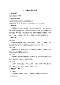 粤教粤科版（2024）三年级上册（2024）第3课 植物的根一等奖表格教案