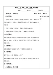 青岛版（六三制）(2024)三年级上册认识岩石表格教案