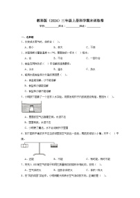 教科版（2024）三年级上册科学期末训练卷（含答案）