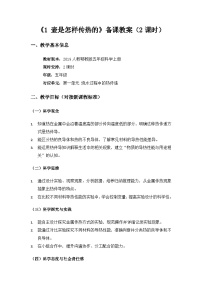 人教鄂教版（2024）五年级上册壶是怎样传热的教学设计