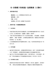 小学科学人教鄂教版（2024）五年级上册显微镜下的细胞教案