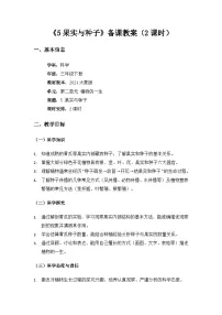 小学科学大象版（2024）三年级下册（2024）5 果实与种子教学设计及反思
