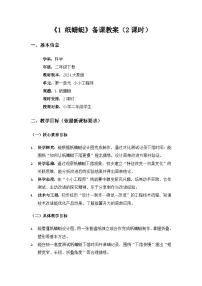 科学二年级下册（2024）1 纸蜻蜓教案设计
