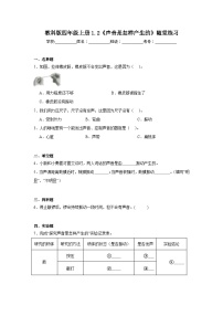 教科版（2024）四年级上册声音是怎样产生的同步练习题