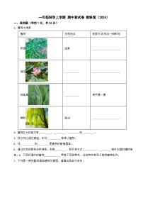 一年级科学上学期 期中测试卷 教科版（2024）（含解析）
