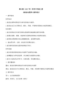 科学六年级上册相似与差异教案