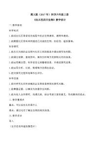 小学冀人版（2024）化石里的古生物教案设计