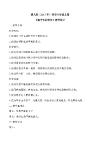 冀人版（2024）六年级上册瓶子中的科学教案设计