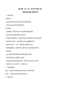 冀人版（2024）六年级上册角马的迁移教案