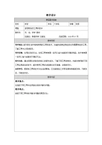 小学教科版（2024）紧密联系的工具和技术表格教案