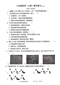 广东省深圳市罗湖区2025-2026学年六年级上学期期中科学试题