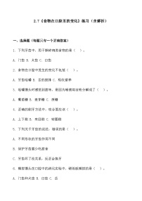 教科版（2024）四年级上册食物在口腔里的变化课后测评