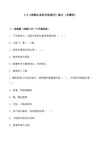 科学四年级上册食物在身体里的旅行课时练习