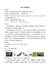 苏教版（2024）四年级上册鸟类教学设计及反思