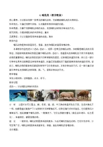 小学苏教版（2024）哺乳类教学设计