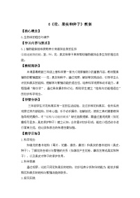 小学科学粤教粤科版（2024）三年级上册（2024）第1单元 观察植物第6课 花、果实和种子精品表格教学设计及反思