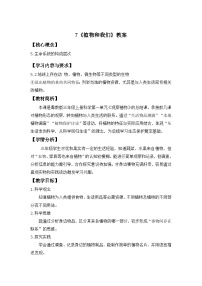 科学三年级上册（2024）第7课 植物和我们获奖表格教学设计