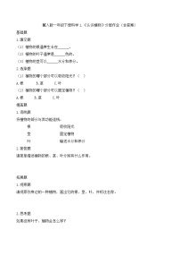 科学冀人版（2024）认识植物一课一练