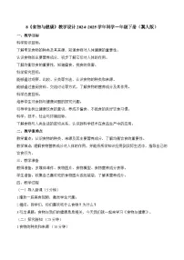 小学科学冀人版（2024）一年级下册（2024）食物与健康教案设计