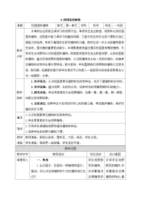 教科版（2024）一年级上册（2024）校园里的植物教案