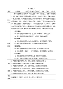 科学一年级上册（2024）发现生长教案
