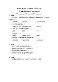 教科版（2024）一年级下册（2024）观察物体的特征优秀同步测试题