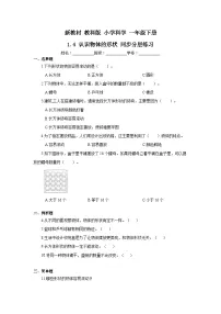 教科版（2024）一年级下册（2024）认识物体的形状精品随堂练习题