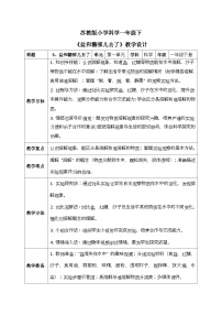 苏教版（2024）一年级下册（2024）盐和糖哪儿去了表格教学设计
