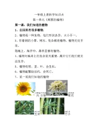[小学科学]期末知识点汇总--2025-2026学年教科版科学一年级上册