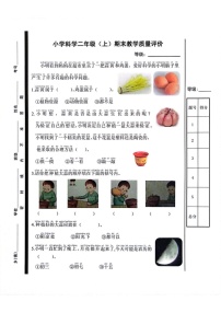 山东省聊城市冠县2024-2025学年二年级上学期1月期末科学试题