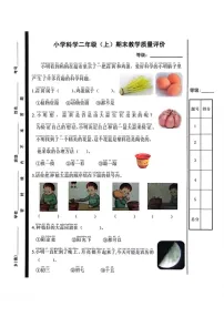 山东省聊城市冠县2024-2025学年二年级上学期1月期末科学试题