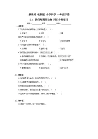 小学科学我们周围的动物优秀精练