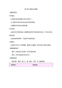 小学科学大象版（2024）三年级上册（2024）3 体验活字印刷表格教案