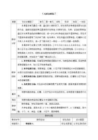 教科版（2024）一年级下册（2024）它们去哪里了教案设计