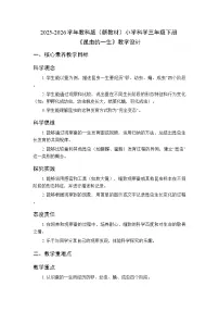 教科版（2024）三年级下册（2024）7.昆虫的一生教案