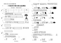 福建省泉州市丰泽区2024-2025学年一年级上学期期末科学考试试题