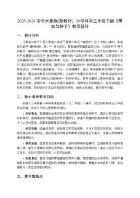 小学科学大象版（2024）三年级下册（2024）5 果实与种子教案