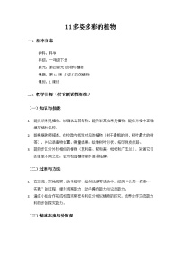 小学科学苏教版（2024）一年级下册（2024）多姿多彩的植物教案