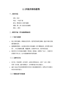 小学科学苏教版（2024）一年级下册（2024）多姿多彩的植物教案