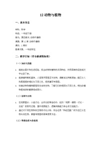 一年级下册（2024）动物与植物教案
