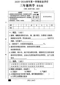 山东省枣庄市台儿庄区2025-2026学年三年级上学期期末科学试题