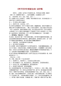 小学科学教科版（2024）四年级下册种子里孕育着新生命优秀学案
