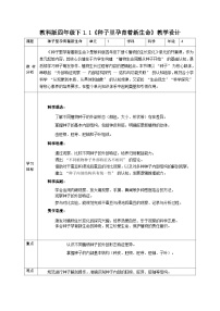 小学科学种子里孕育着新生命教案设计