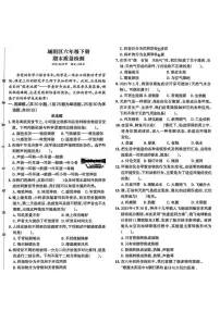山东省青岛市城阳区2024-2025学年六年级下学期期末考试科学试题