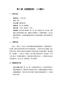 小学科学粤教粤科版（2024）一年级下册（2024）第2单元 植物和动物第5课 观察植物教学设计及反思
