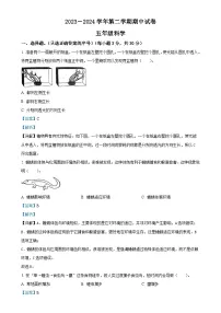 甘肃省庆阳市镇原县教科版五年级下册期中考试科学试卷（解析版）-A4