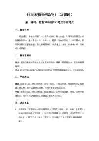 冀人版（2024）一年级下册（2024）比较植物和动物教学设计及反思