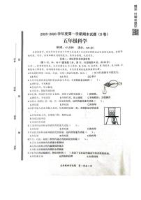 山东省枣庄市山亭区2025-2026学年五年级上学期1月期末科学试题