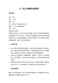 科学一年级上册(2024）第三单元 生机勃勃的大自然1.你认识哪些动植物教学设计
