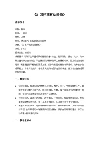 沪科技版(2024)一年级上册(2024）第三单元 生机勃勃的大自然2.怎样观察动植物教案设计